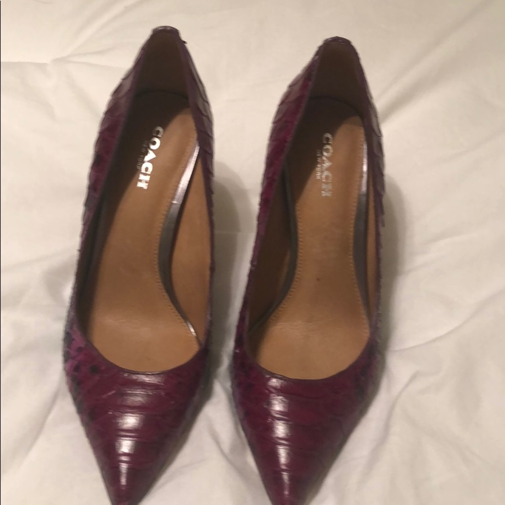 Beautiful alligator multi tone pumps